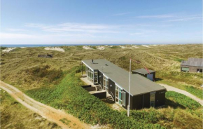 Amazing Home In Ringkøbing With House A Panoramic View